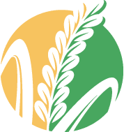 Chlorophyll Africa